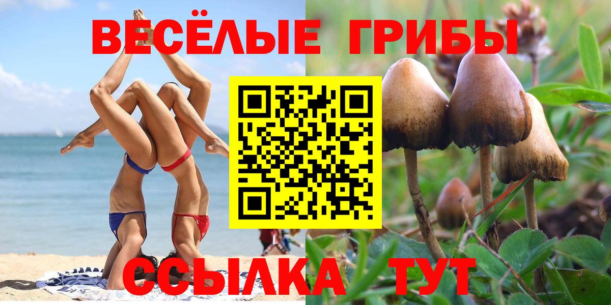 Галлюциногенные грибы Magic Shrooms  Вход с VPN  Киров 